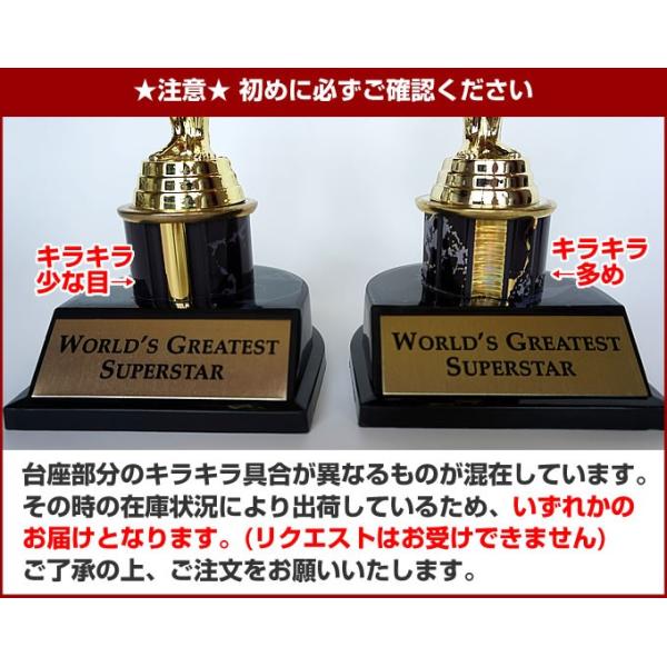 訳あり オスカー像 レプリカ Mサイズ 約20cm /母の日 父の日 ギフト