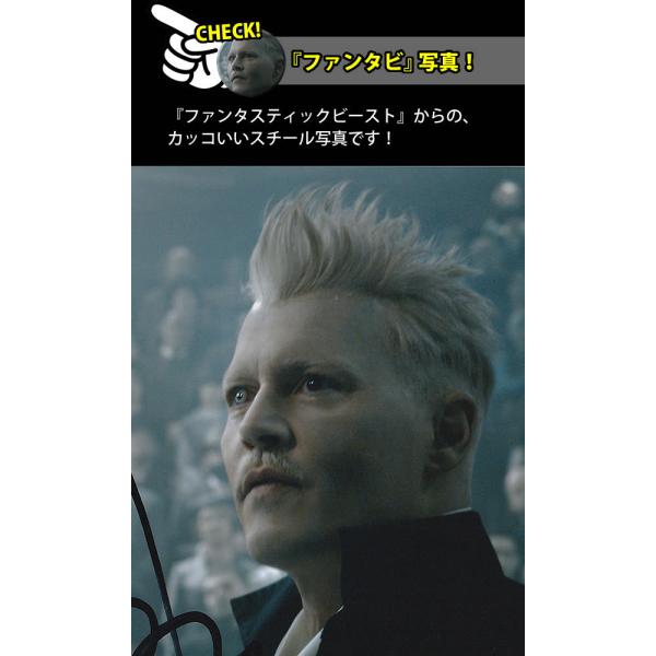 ジョニーデップサイン カードjohnny depp autoハリーポッター