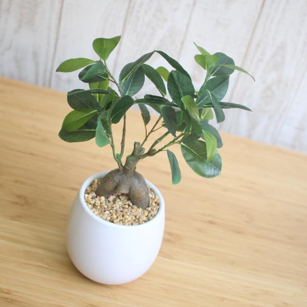 ガジュマル27 ガジュマル 110cm｜GLP-1574 アーティフィシャルグリーン 人工