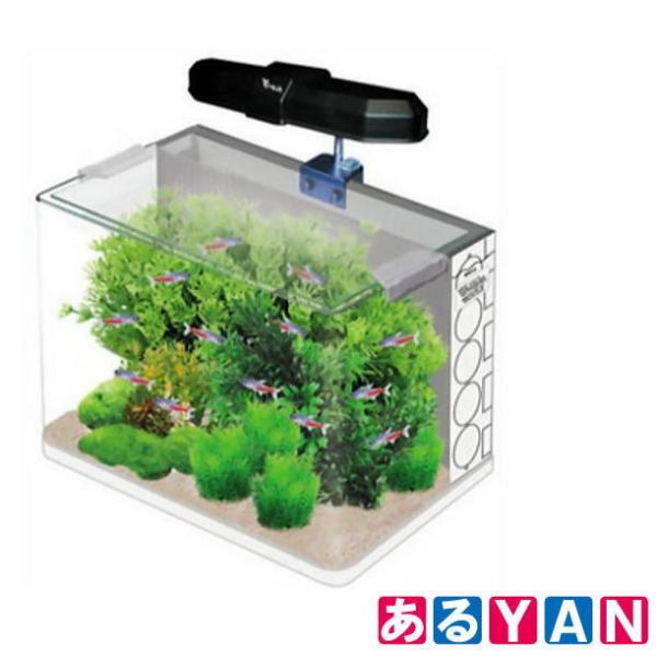 魚用品・水草 キャンペーン価格6/16まで☆水槽☆マリリン KOBA'X
