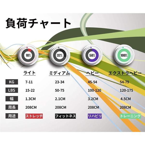 TheFitLife トレーニングチューブ スーパーハード 懸垂アシスト 懸垂補助 天然ラテックス製 ゴムチューブトレーニングに最適 柔道・  /【Buyee】