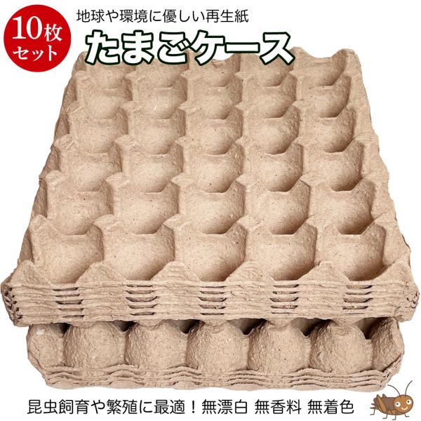 卵トレー 送料無料 紙製 10枚 卵パック たまご トレー パック