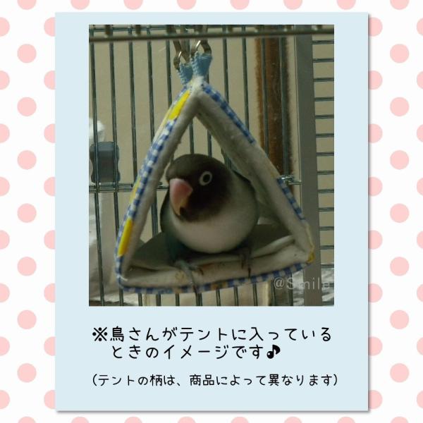 ふるさと割 鳥のテント