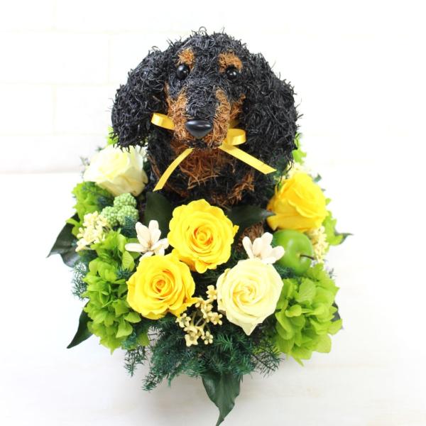 プリザーブドフラワーアレンジ犬 ビションフリーゼのトピアリー Cute 結婚祝い 誕生日 ギフト プレゼント 開店祝い 動物病院開院祝い 