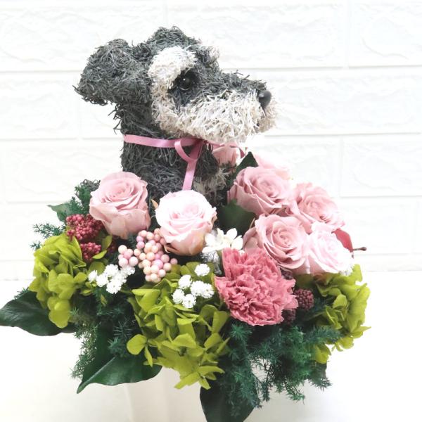 母の日ギフト 犬のプリザーブドフラワー 犬 シュナウザー プレゼントに