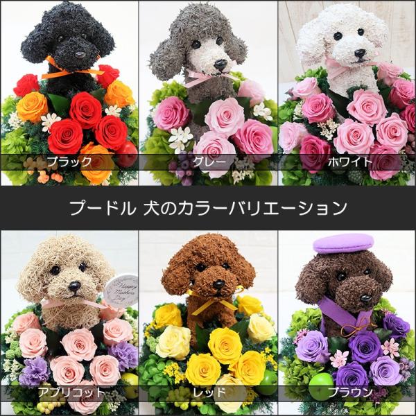 プリザーブドフラワー犬 トイプードル cute 結婚祝い 誕生日 ギフト プレゼント 開店祝い 動物病院開院祝い ペットのお悔やみ /【Buyee】