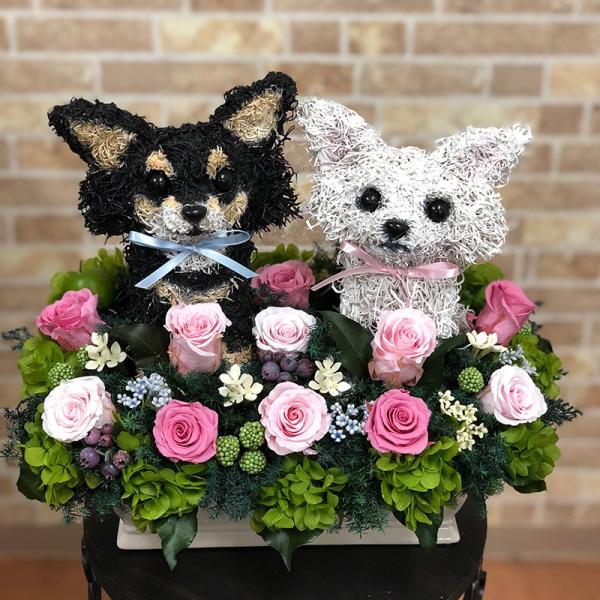 ウェルカムドール ロングコートチワワ 結婚式用 プリザーブドフラワー