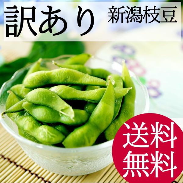 新潟枝豆 茶豆 わけあり 2ｋｇ 茶豆で有名な新潟市西区新通産 /【Buyee