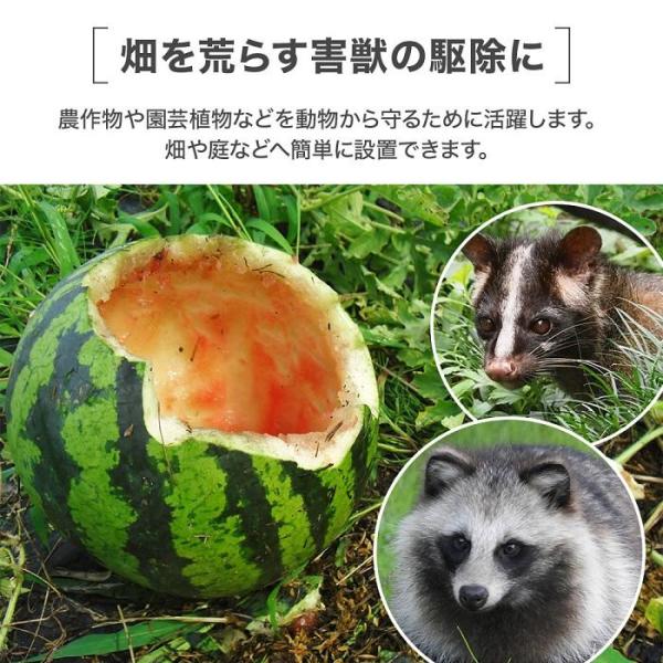 動物 捕獲 アニマルトラップ 捕獲器 猫 トラップ 箱罠 イタチ 駆除 踏板式 捕獲機 小動物 子猫 罠 鼠 保護 庭 畑 餌 アニマルキャッチャー  /【Buyee】