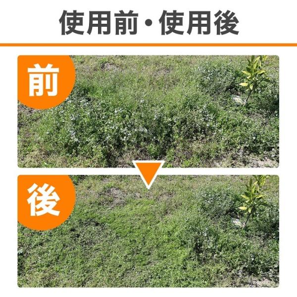 草刈機 充電式 女性 バッテリー 家庭用 軽量 草刈り機 電動 刃