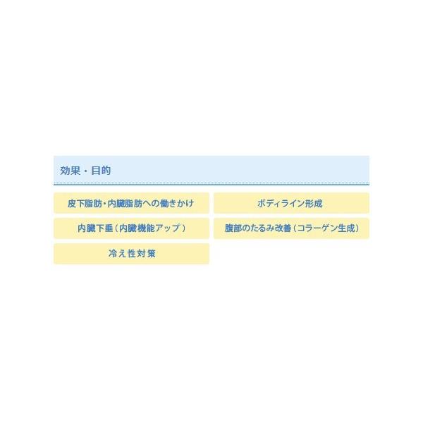 コアボディサポーター Flexia フレキシア ナノカレント ミラクル