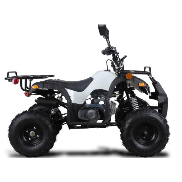 Ｅ－ＴＯＮ VIPER50 ATV ４輪バギー 公道走行可 - その他