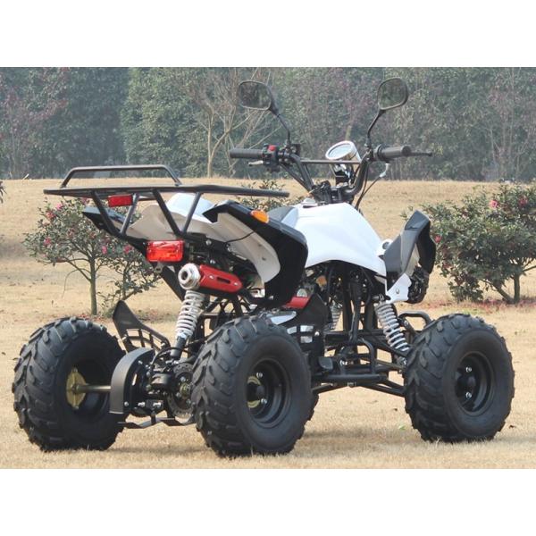 小型特殊 カワサキ 四輪バギー ATV - オートバイ車体