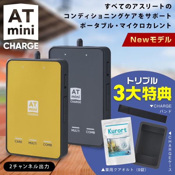 12%OFFクーポン 3大特典付 AT mini Personal 2 at mini 家庭用 低周波