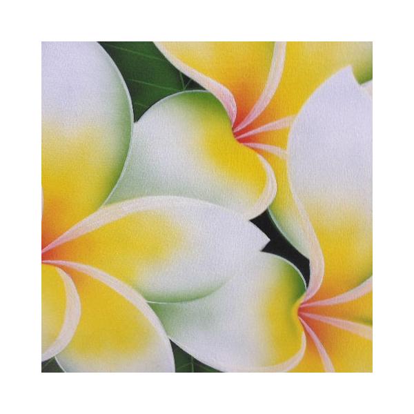 バリアート80x60 送料無料,バリ島絵画,プルメリア,絵,リゾート,サロン