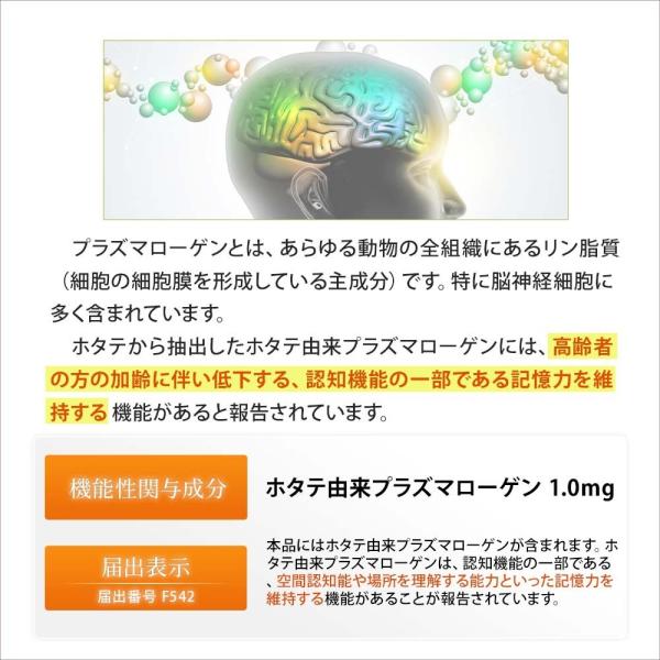 公式 プラズマローゲンS ソフトカプセル 60粒 機能性表示食品 ホタテ プラズマローゲン サプリメント 高純度 日本製 Plasmalogen  30日分 /【Buyee】