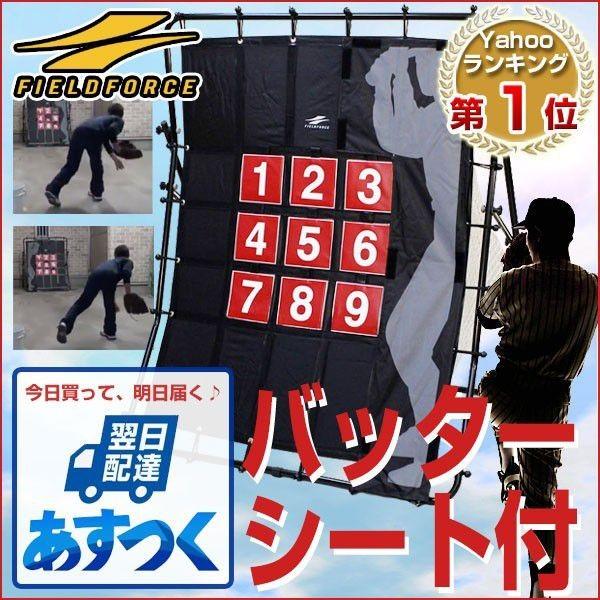 ピッチングネット 軟式野球ボール ストラックアウト 投球 FPN-1311 