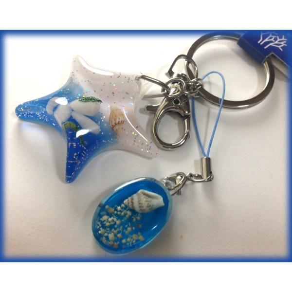 星 ヒトデ 海 天然素材 ミニヒトデ 小さいヒトデ 小さい貝殻 レジン