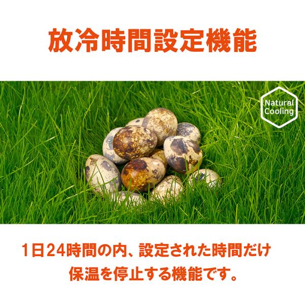 ビッグママ20DO　全自動孵卵器(ふ卵器・ふ化器) ビッグママ20DO 全自動孵卵器(ふ卵器・ふ化器) : eバード - 通販