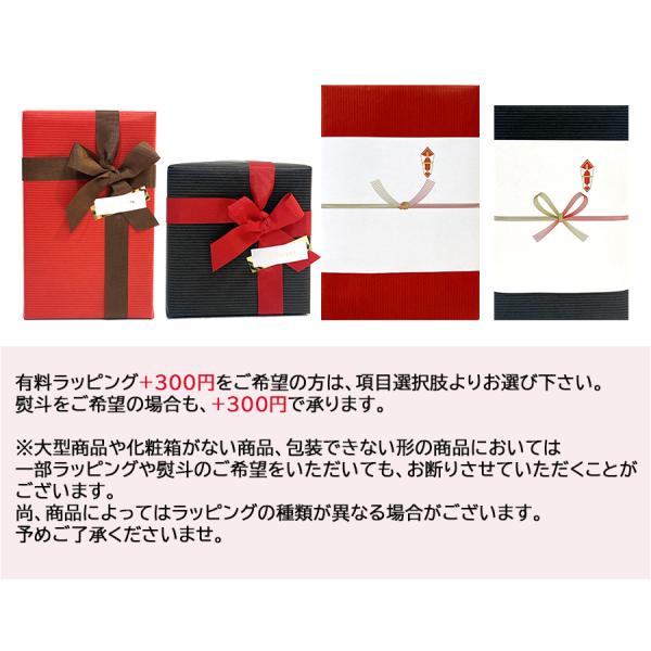 カイボイスン ソングバード 北欧雑貨 木製 鳥 KAY BOJESEN
