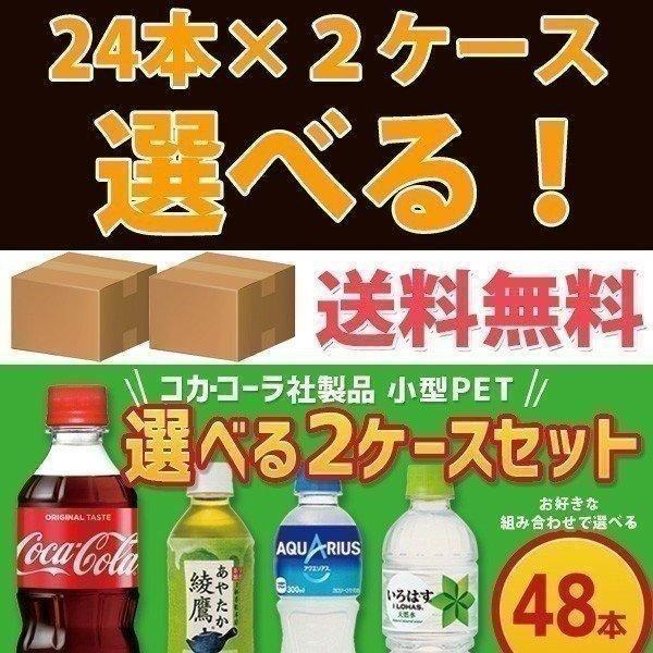 コカ・コーラ社製品 300ml小型ペットボトル 24本入り よりどり 2