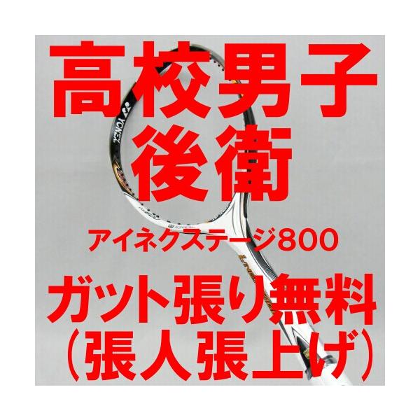 ソフトテニスラケット 後衛 ヨネックス アイネクステージ８００