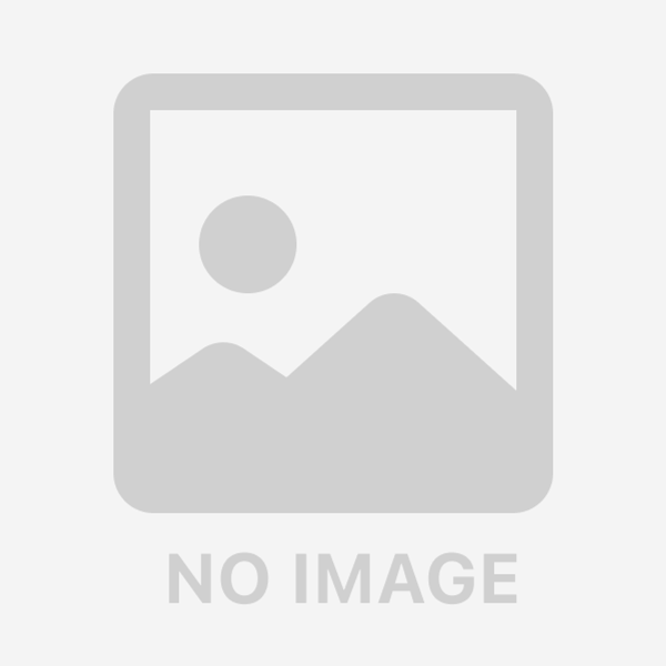 田中貴金属 プラチナ インゴット 10g バー 流通品 シルバー925枠付