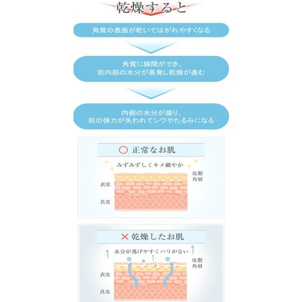 美容液セール！加齢美人 艶麗（えんれい）＜アルジルリン・紫根・ヒアルロン酸配合＞ 63ml ＜ボタニカル化粧品 ジェンダーレスコスメ＞ /【Buyee】