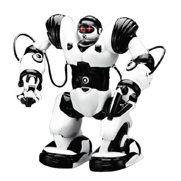 ホビーラジコン ai XB ホーネット by JUN WATANABE 【RC限定】 (完成品) (ラジコン