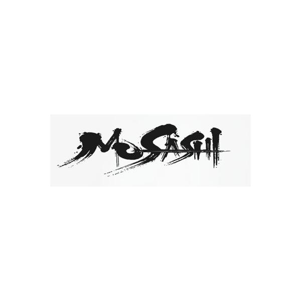 まこち　ADAM MUSASHI 2015全日本選手権モデル 『倭』 billiards-fox_billiards-cue-