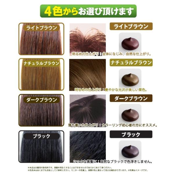 利尻昆布 ヘアカラー トリートメント ダークブラウン 200g 2本セット