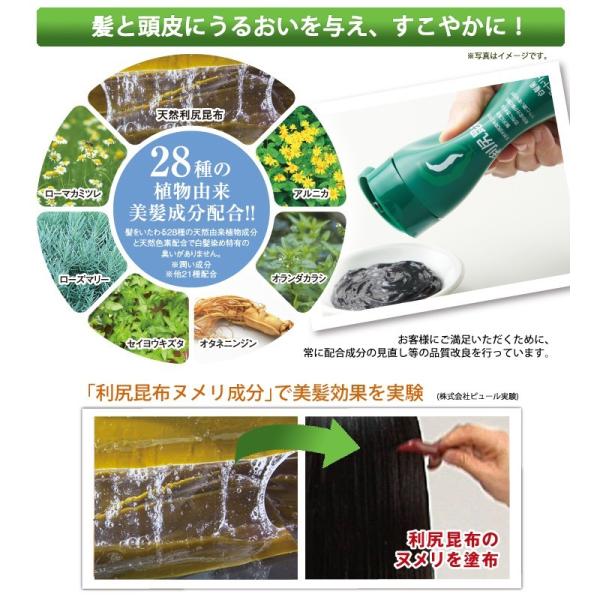 利尻ヘアカラートリートメント お得な白髪染め4点セット！敏感