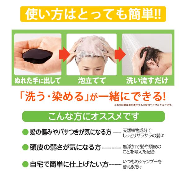 白髪用 利尻カラーシャンプー ブラックお徳用500ml1本 使用品1本サ―