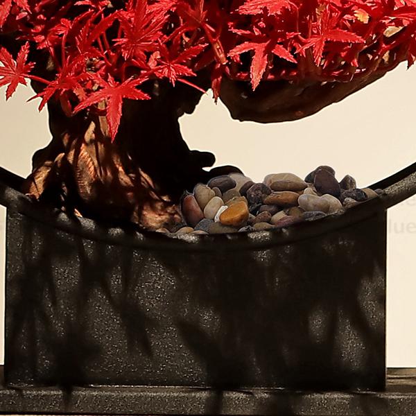 赤いカエデの葉 人工盆栽  35cm×55cm フェイクグリーン 赤いカエデの葉 人工盆栽 35cm×55cm フェイクグリーン （人工