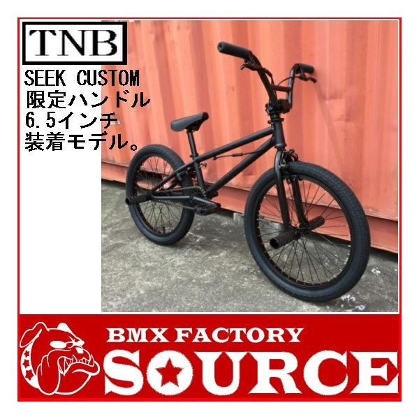 自転車 BMX FLATLAND 20インチ TNB SEEK CUSTOM MATT BLACK BAR