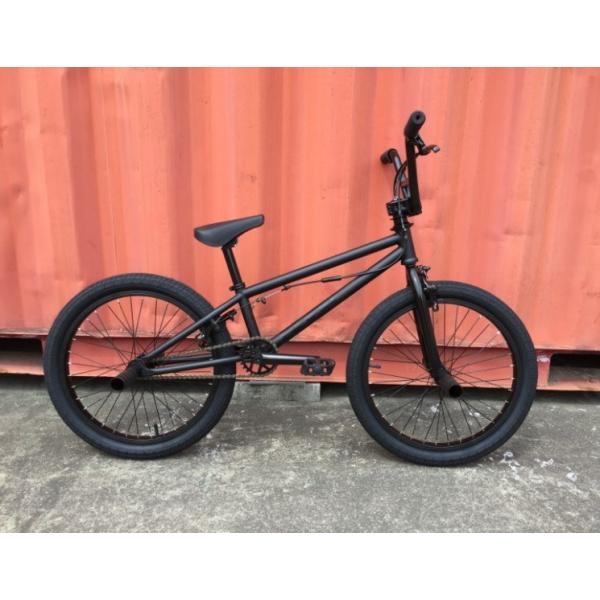 自転車 BMX FLATLAND 20インチ TNB SEEK CUSTOM MATT BLACK BAR