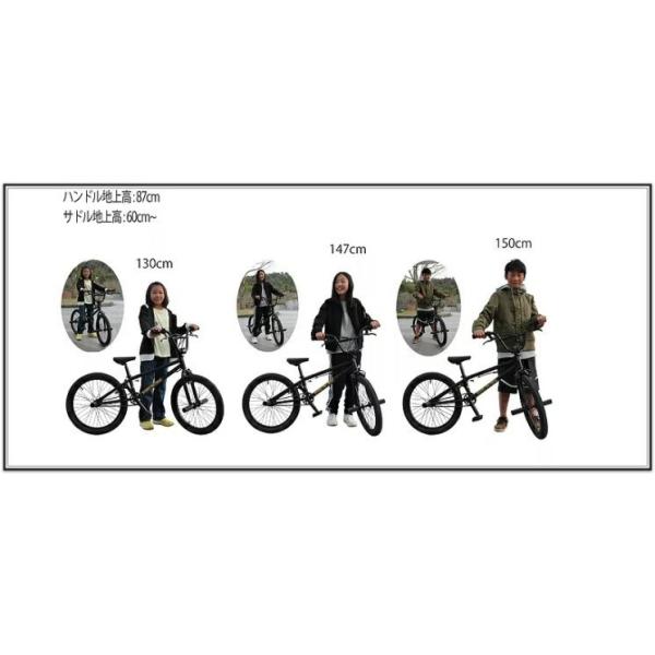 自転車 BMX FLATLAND 20インチ TNB SEEK CUSTOM MATT BLACK BAR
