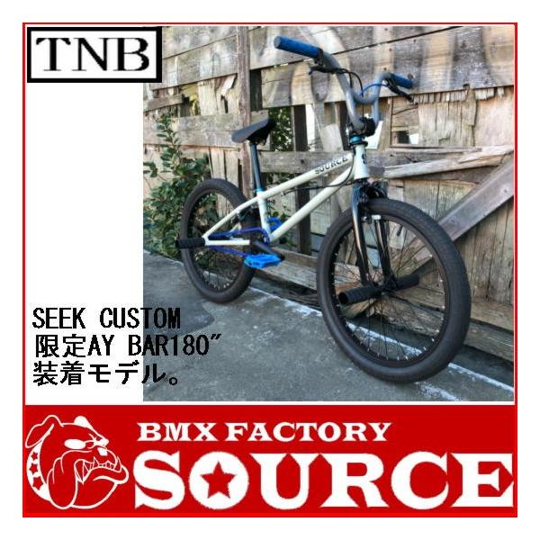 自転車 BMX FLATLAND 20インチ TNB SEEK CUSTOM GRAY AY-BAR