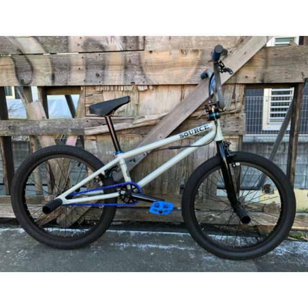 自転車 BMX FLATLAND 20インチ TNB SEEK CUSTOM GRAY AY-BAR /【Buyee