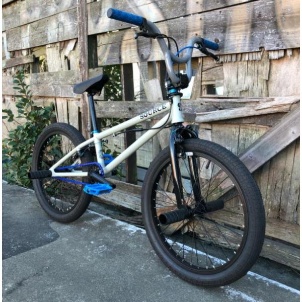 自転車 BMX FLATLAND 20インチ TNB SEEK CUSTOM GRAY AY-BAR