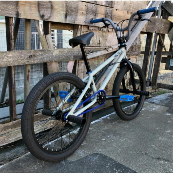 自転車 BMX FLATLAND 20インチ TNB SEEK CUSTOM GRAY AY-BAR /【Buyee
