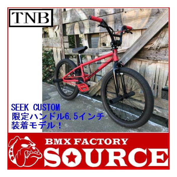 別注カスタム 本格派BMX FLATLAND 20インチ TNB SEEK CUSTOM