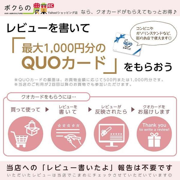 工進 KOSHIN 50Lタンク キャリー TK-50N 動噴 動力噴霧器 エンジン