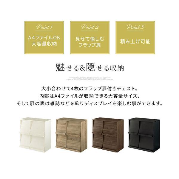 完成品】 カラーボックス 扉付き 2段 a4 新生活 収納 ラック