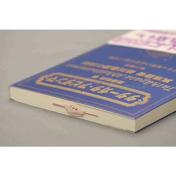 タターガタ・アビダンマ 真理勝者 絶対最勝の法則 第三誦品 サキャ神賢