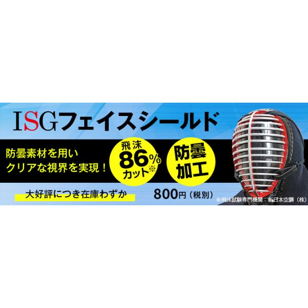 面金14本一般 フェイスシールド 【新品】剣道 抗ウイルス