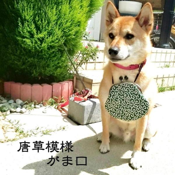 品薄！唐草模様がま口☆【唐草模様】【財布】【犬 散歩】【男女兼用