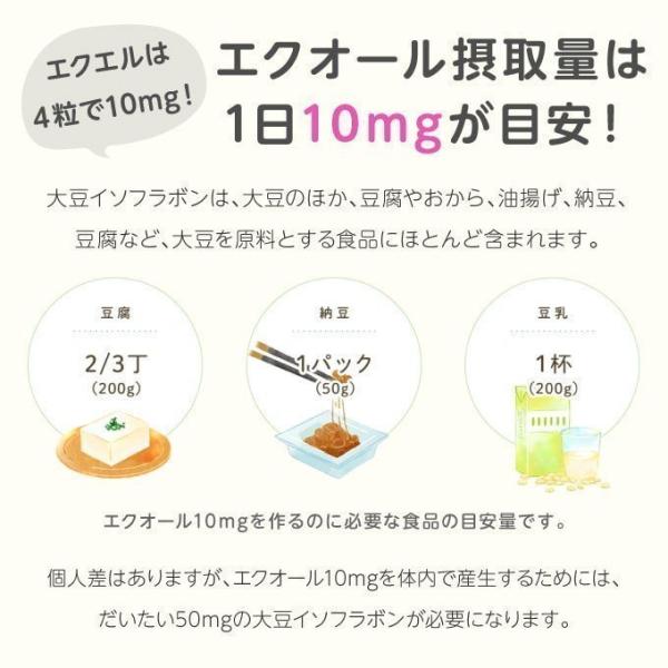 エクエル パウチ ひくく エクオール 大塚製薬 120粒×3袋 yff