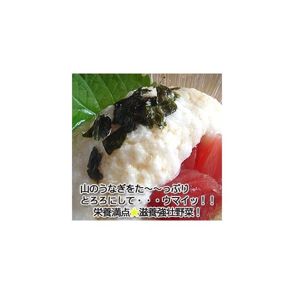 青森県産砂丘長いも訳あり送料無料【長芋家庭用１０ｋｇ】 山芋とろろ