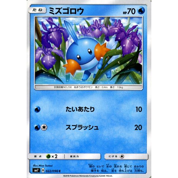 ポケモンカードゲーム SM7 拡張パック 裂空のカリスマ ミズゴロウ (HP